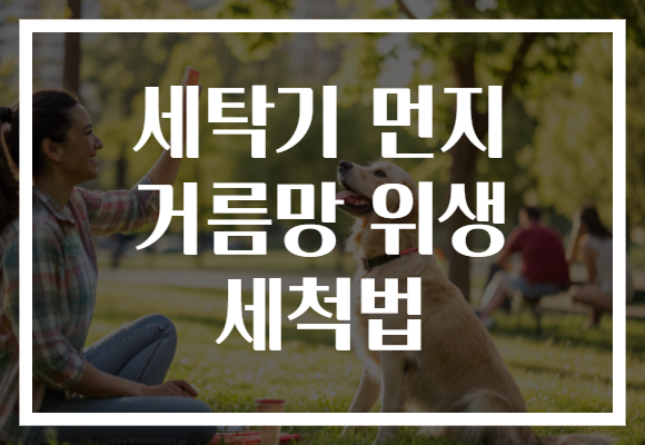 세탁기 먼지 거름망 위생 세척법