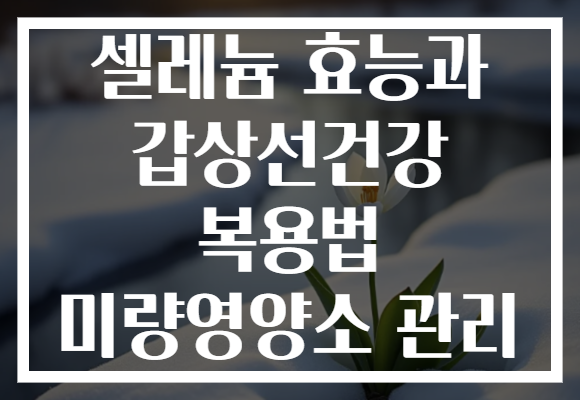 셀레늄 효능과 갑상선건강 복용법 미량영양소 관리