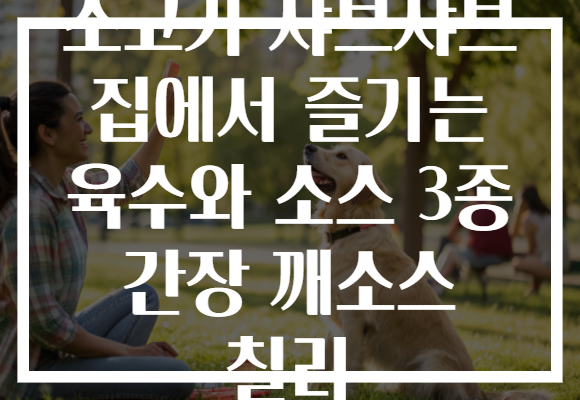 소고기 샤브샤브 집에서 즐기는 육수와 소스 3종 간장 깨소스 칠리