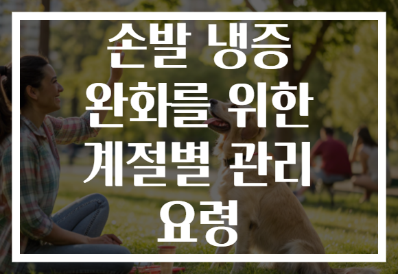 손발 냉증 완화를 위한 계절별 관리 요령 손발 냉증 완화를 위한 계절별 관리 요령