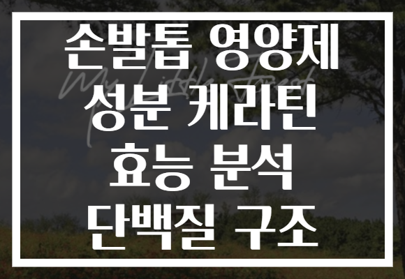 손발톱 영양제 성분 케라틴 효능 분석 단백질 구조 손발톱 영양제 성분 케라틴 효능 분석 단백질 구조