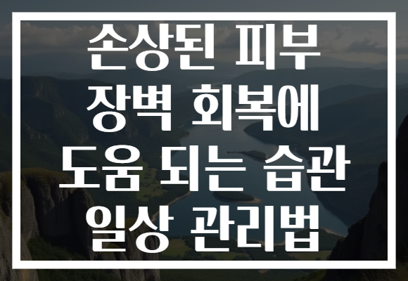 손상된 피부 장벽 회복에 도움 되는 습관 일상 관리법 손상된 피부 장벽 회복에 도움 되는 습관 일상 관리법