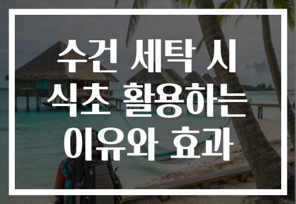 수건 세탁 시 식초 활용하는 이유와 효과 수건 세탁 시 식초 활용하는 이유와 효과