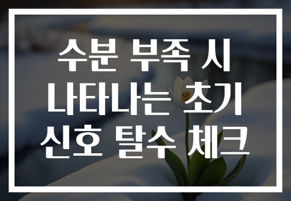 수분 부족 시 나타나는 초기 신호 탈수 체크
