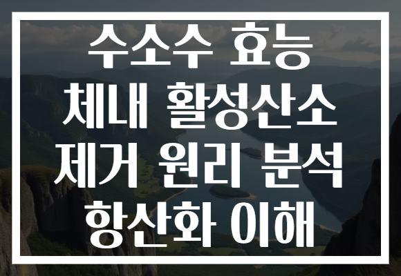 수소수 효능 체내 활성산소 제거 원리 분석 항산화 이해