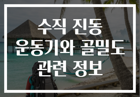 수직 진동 운동기와 골밀도 관련 정보 수직 진동 운동기와 골밀도 관련 정보