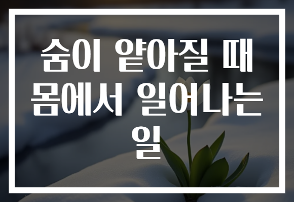 숨이 얕아질 때 몸에서 일어나는 일