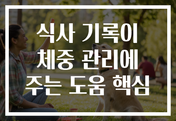 식사 기록이 체중 관리에 주는 도움 핵심