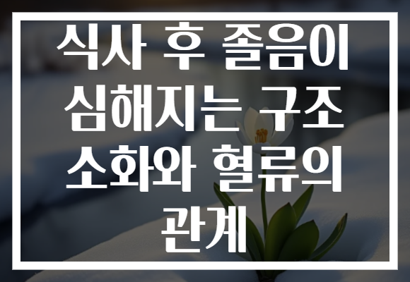 식사 후 졸음이 심해지는 구조 소화와 혈류의 관계 식사 후 졸음이 심해지는 구조 소화와 혈류의 관계