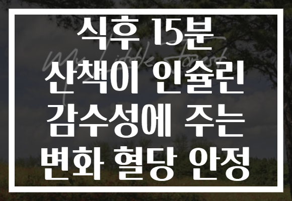 식후 15분 산책이 인슐린 감수성에 주는 변화 혈당 안정