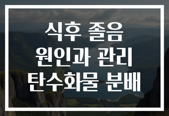 식후 졸음 원인과 관리 탄수화물 분배