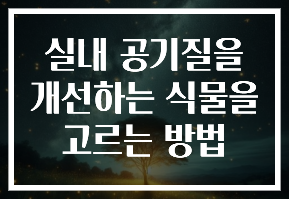 실내 공기질을 개선하는 식물을 고르는 방법