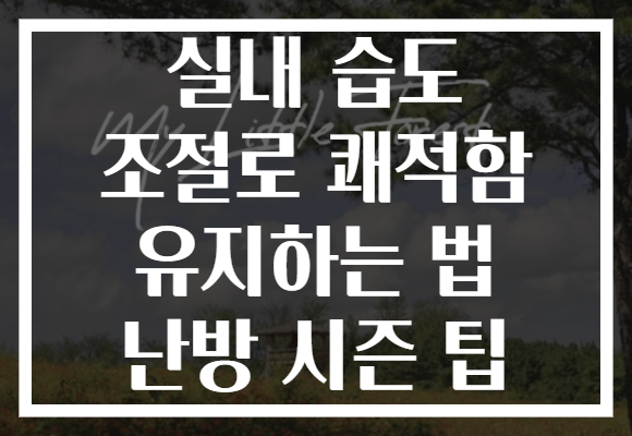 실내 습도 조절로 쾌적함 유지하는 법 난방 시즌 팁