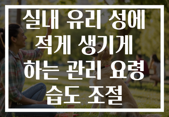 실내 유리 성에 적게 생기게 하는 관리 요령 습도 조절