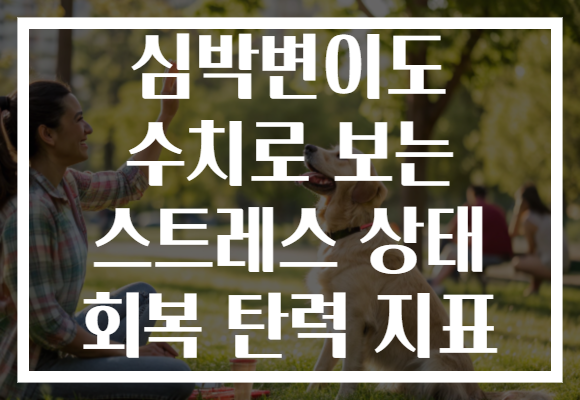 심박변이도 수치로 보는 스트레스 상태 회복 탄력 지표