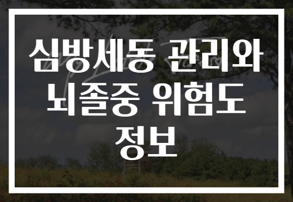 심방세동 관리와 뇌졸중 위험도 정보