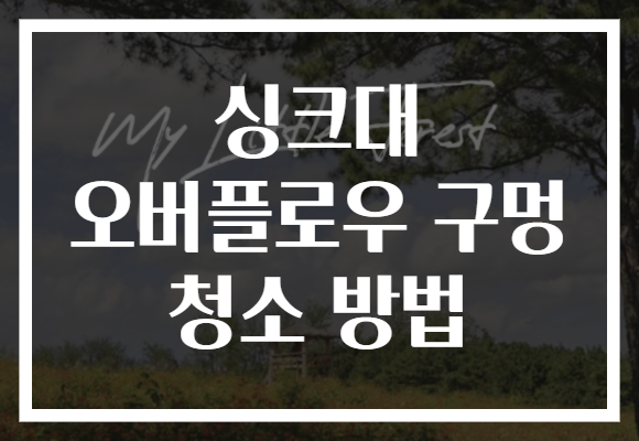 싱크대 오버플로우 구멍 청소 방법 싱크대 오버플로우 구멍 청소 방법