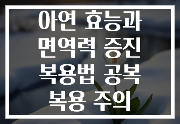 아연 효능과 면역력 증진 복용법 공복 복용 주의 아연 효능과 면역력 증진 복용법 공복 복용 주의
