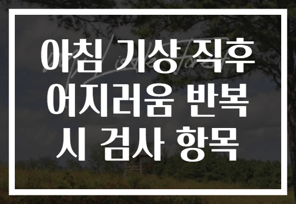 아침 기상 직후 어지러움 반복 시 검사 항목 아침 기상 직후 어지러움 반복 시 검사 항목