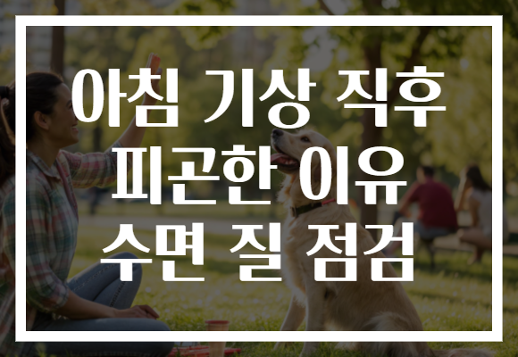 아침 기상 직후 피곤한 이유 수면 질 점검
