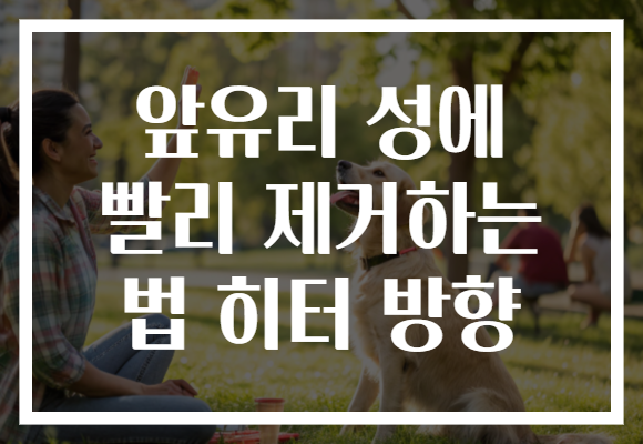 앞유리 성에 빨리 제거하는 법 히터 방향 앞유리 성에 빨리 제거하는 법 히터 방향