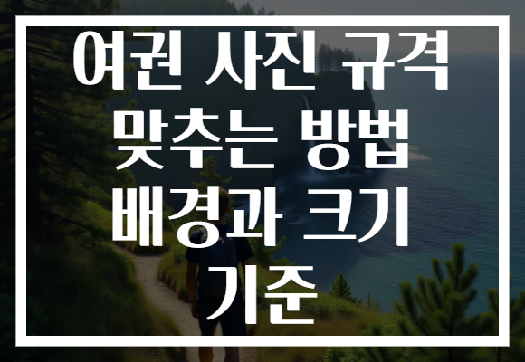 여권 사진 규격 맞추는 방법 배경과 크기 기준