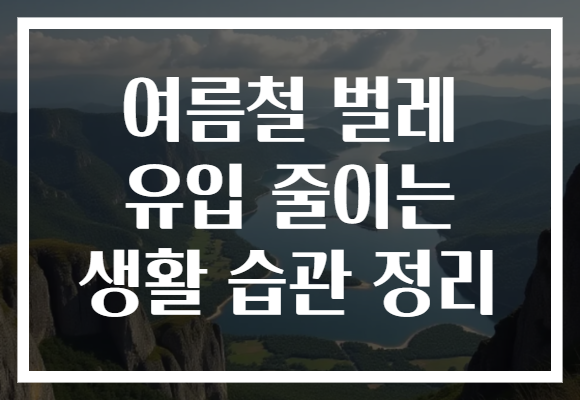 여름철 벌레 유입 줄이는 생활 습관 정리