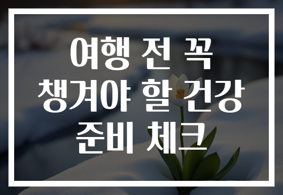 여행 전 꼭 챙겨야 할 건강 준비 체크