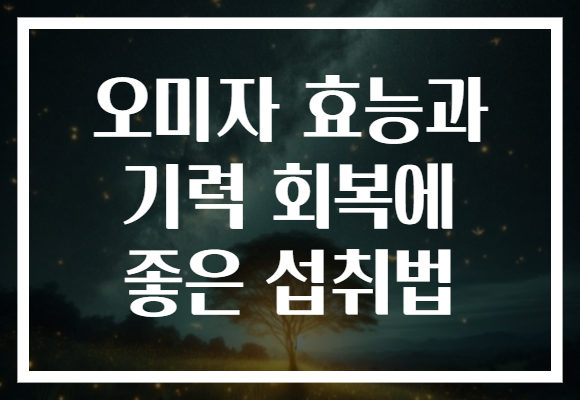 오미자 효능과 기력 회복에 좋은 섭취법 오미자 효능과 기력 회복에 좋은 섭취법