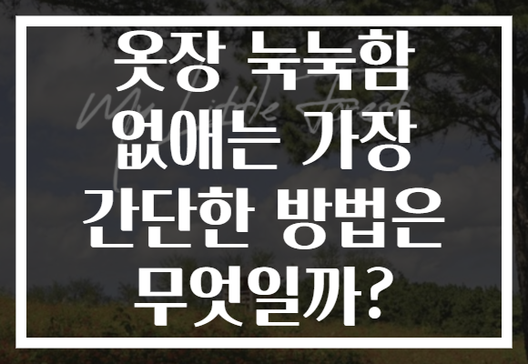 옷장 눅눅함 없애는 가장 간단한 방법은 무엇일까?
