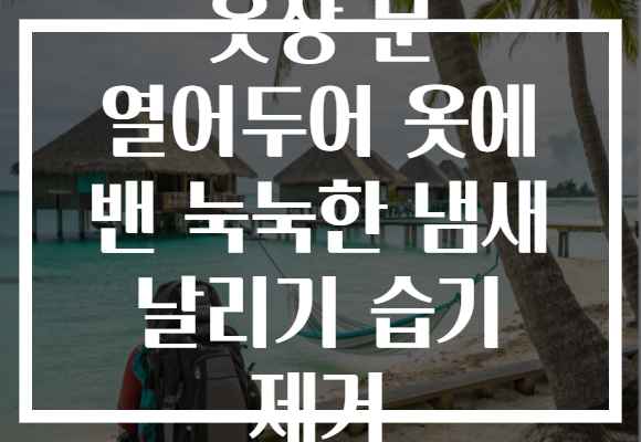 옷장 문 열어두어 옷에 밴 눅눅한 냄새 날리기 습기 제거