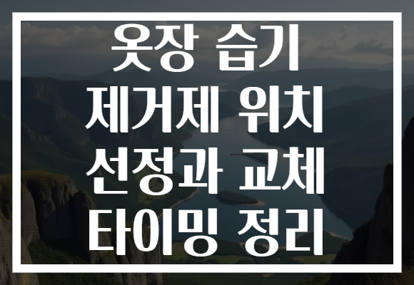 옷장 습기 제거제 위치 선정과 교체 타이밍 정리 옷장 습기 제거제 위치 선정과 교체 타이밍 정리
