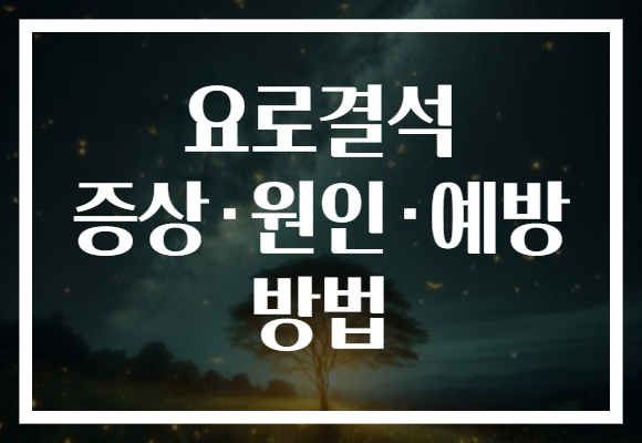 요로결석 증상·원인·예방 방법