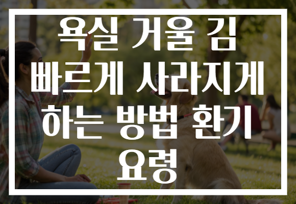 욕실 거울 김 빠르게 사라지게 하는 방법 환기 요령