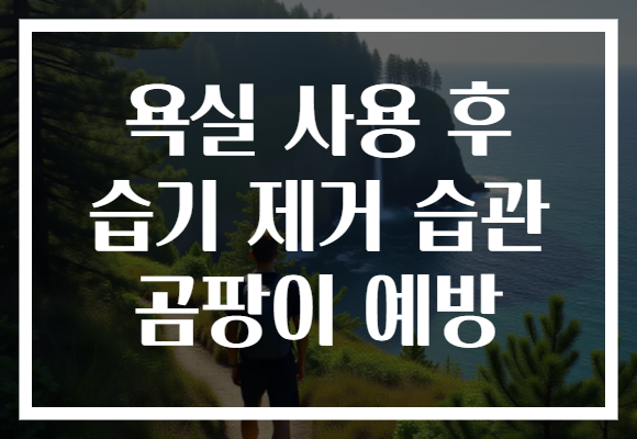 욕실 사용 후 습기 제거 습관 곰팡이 예방 욕실 사용 후 습기 제거 습관 곰팡이 예방