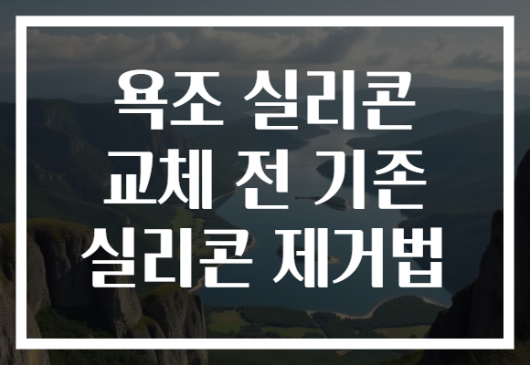 욕조 실리콘 교체 전 기존 실리콘 제거법 욕조 실리콘 교체 전 기존 실리콘 제거법