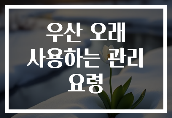 우산 오래 사용하는 관리 요령