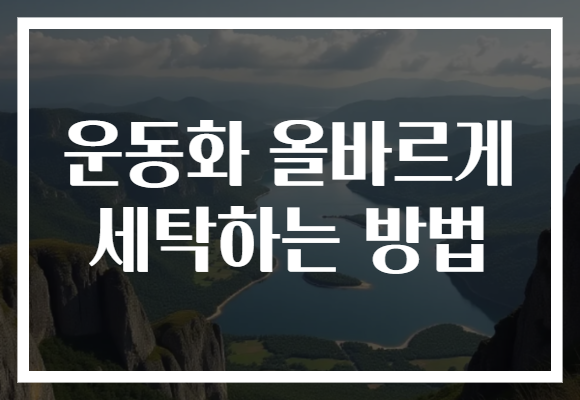 운동화 올바르게 세탁하는 방법