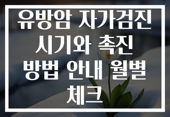 유방암 자가검진 시기와 촉진 방법 안내 월별 체크 유방암 자가검진 시기와 촉진 방법 안내 월별 체크