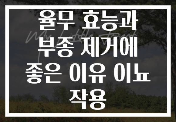 율무 효능과 부종 제거에 좋은 이유 이뇨 작용