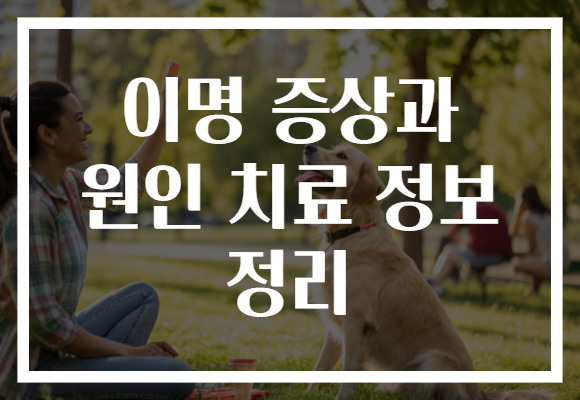 이명 증상과 원인 치료 정보 정리 이명 증상과 원인 치료 정보 정리