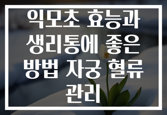 익모초 효능과 생리통에 좋은 방법 자궁 혈류 관리