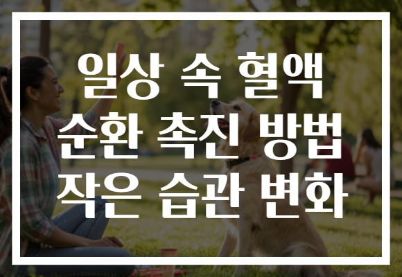 일상 속 혈액 순환 촉진 방법 작은 습관 변화