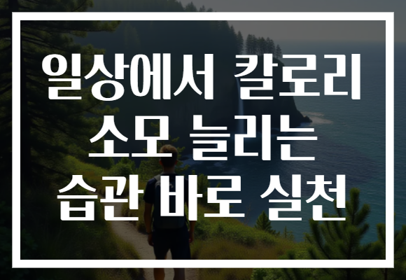 일상에서 칼로리 소모 늘리는 습관 바로 실천