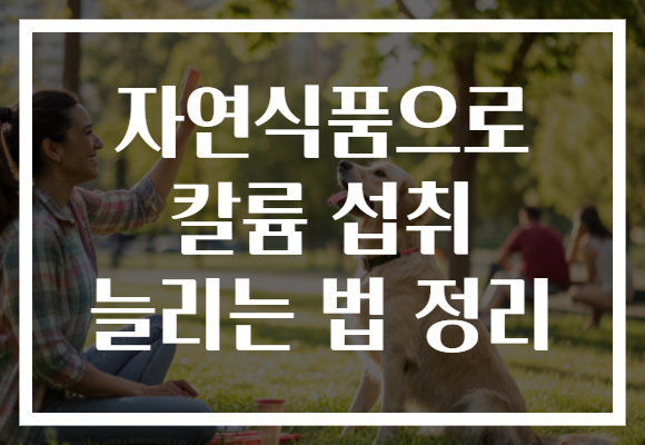 자연식품으로 칼륨 섭취 늘리는 법 정리