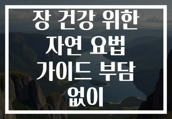 장 건강 위한 자연 요법 가이드 부담 없이