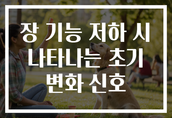 장 기능 저하 시 나타나는 초기 변화 신호