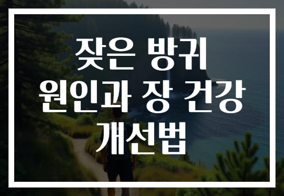 잦은 방귀 원인과 장 건강 개선법