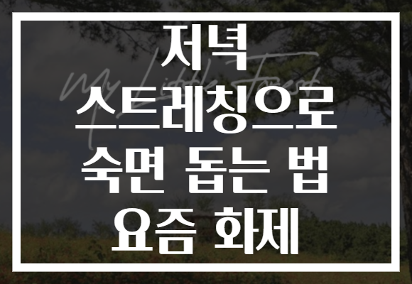 저녁 스트레칭으로 숙면 돕는 법 요즘 화제