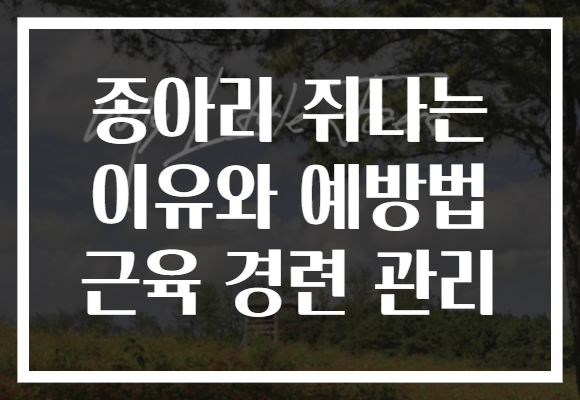 종아리 쥐나는 이유와 예방법 근육 경련 관리